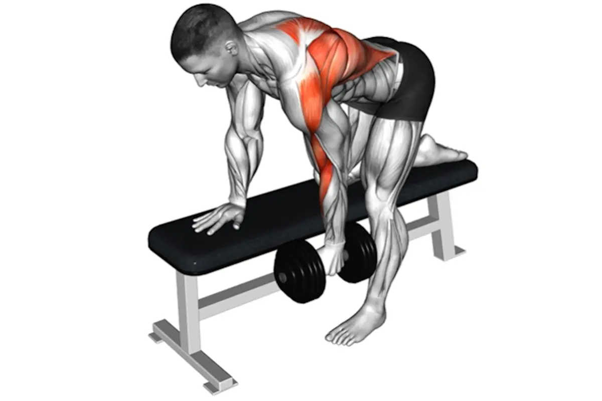 Rânduri cu ganteră într-o mână (One-Arm Dumbbell Row)