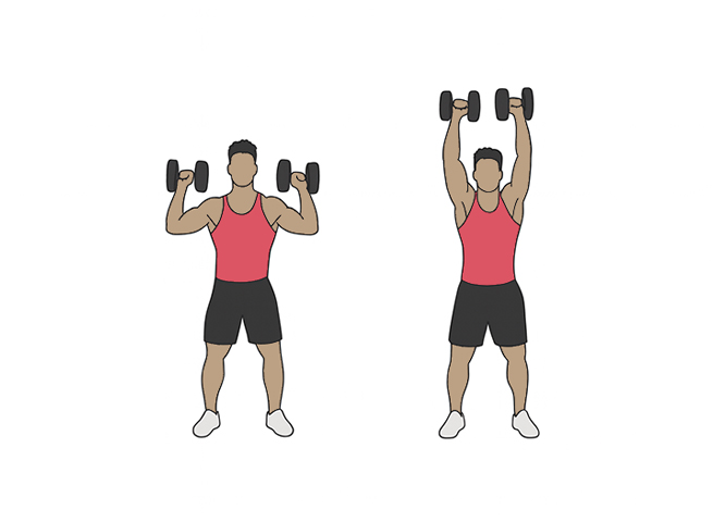 Presă umeri cu gantere (Shoulder Press)